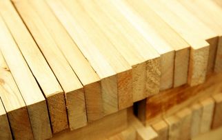 如何选择绿色建材与环保润滑油